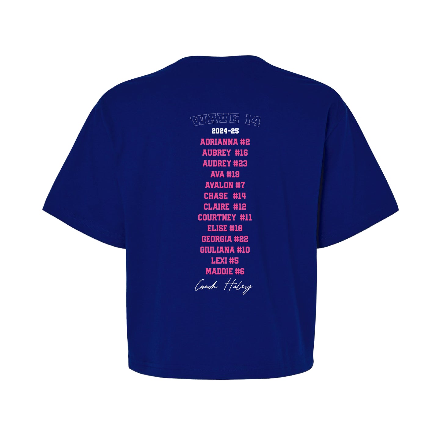 Wave Volleyball - Wave 14 - Ladies Boxy Tee
